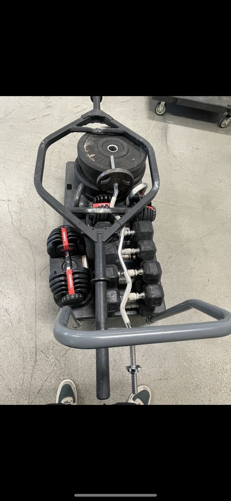 Weights Work Out equipment