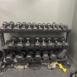 Rogue Dumbbells & Rack