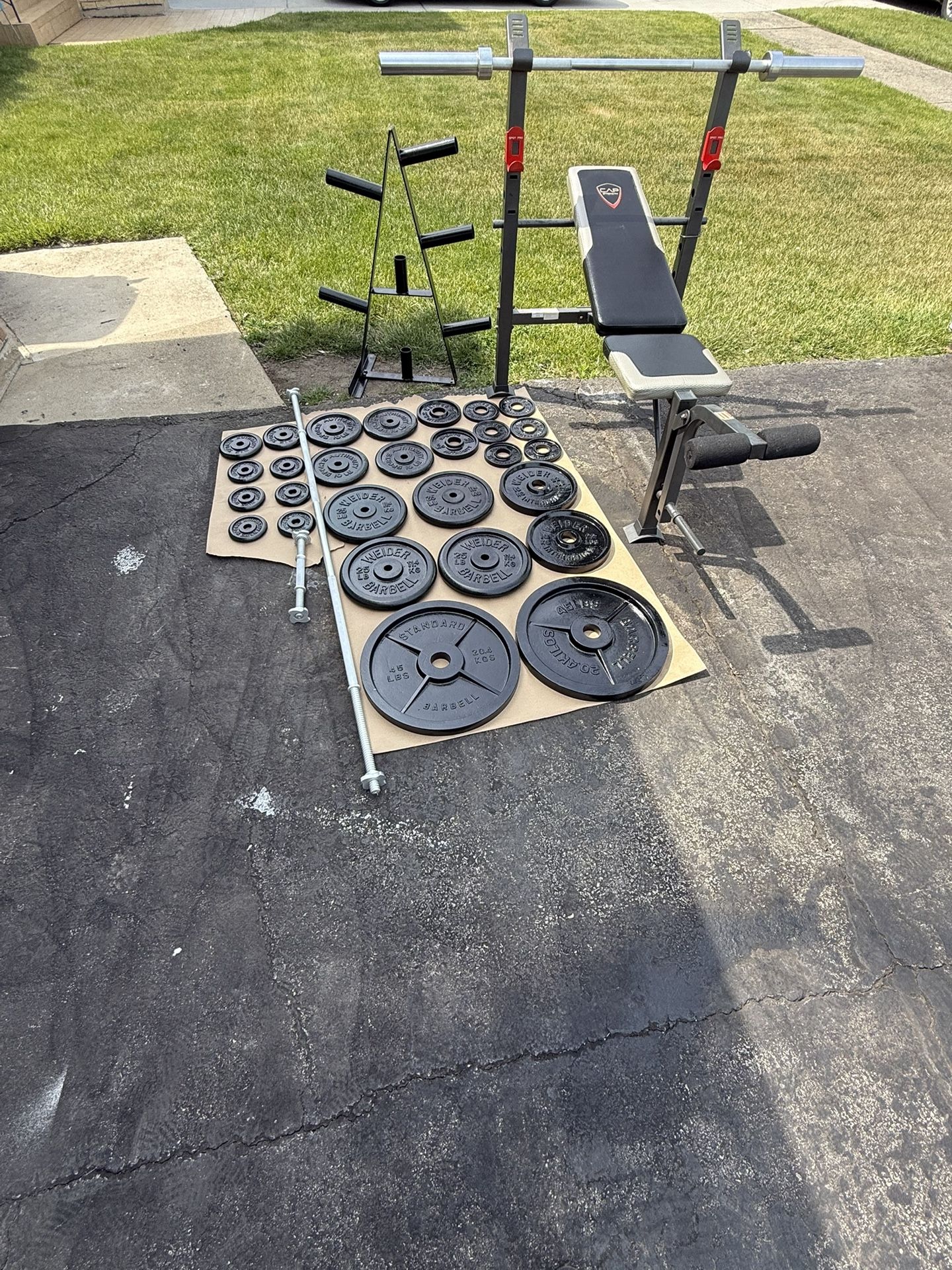 Bench and Weights
