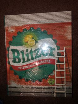 New Blitzer intermediate Algebra book
