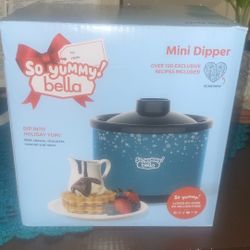 New Mini Dipper