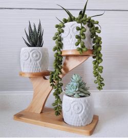 🦉 ISUMER • (3) Owl Pots with Tiered Bamboo Stand