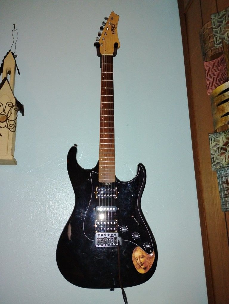 Vinci Scapigliata Custom Guitar