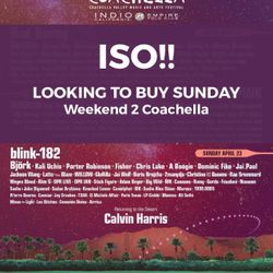 ISO Sunday Ticket Coachella
