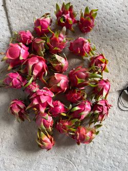 Dragon fruit