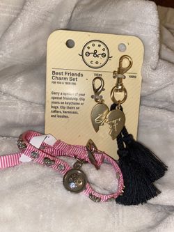 Dog Collar & Matching Key Chains