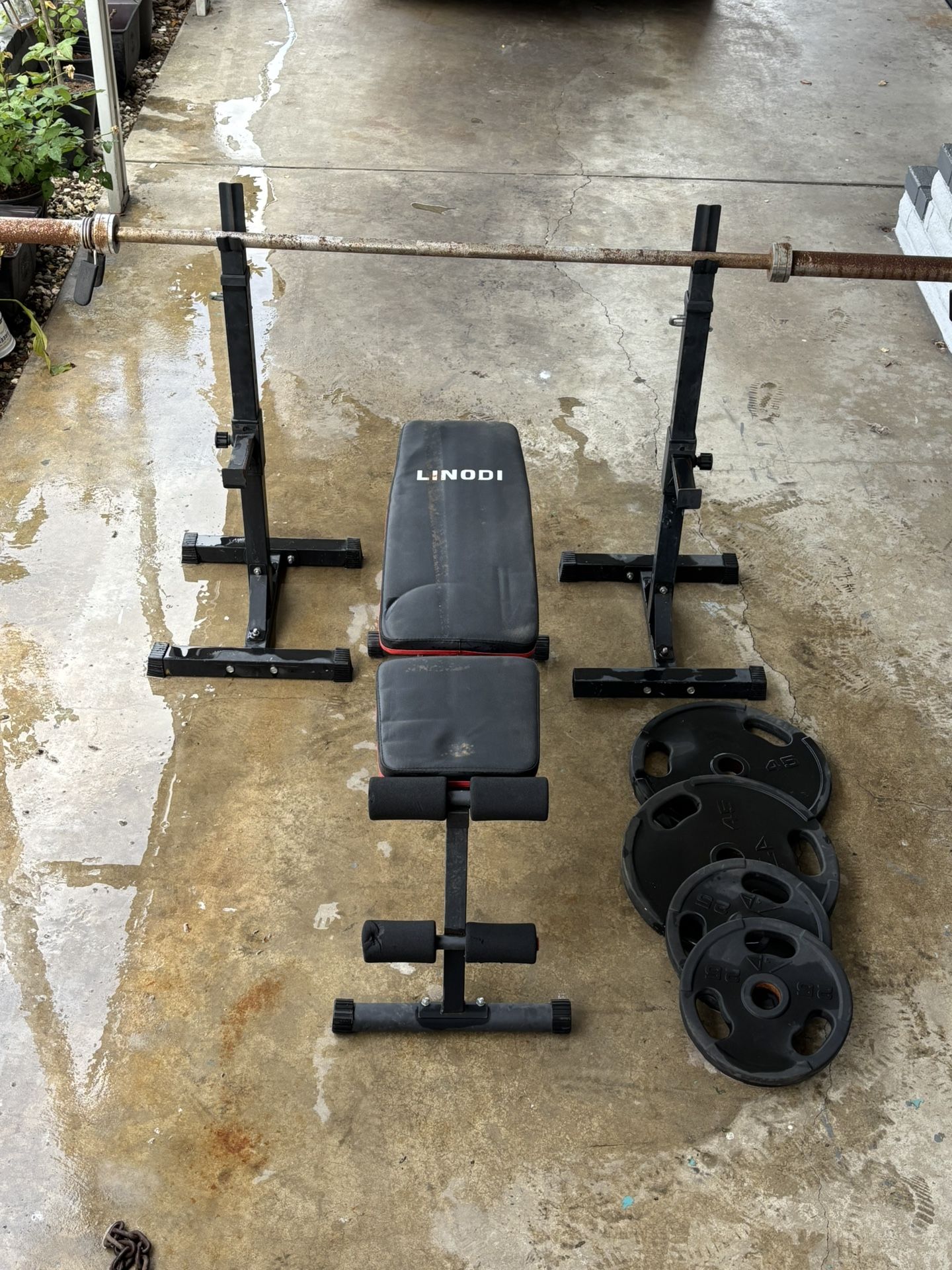 Bench Press with Barbell, Weights, & Stand