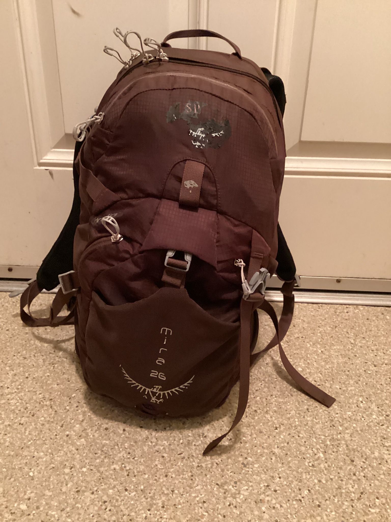 Osprey Backpack 