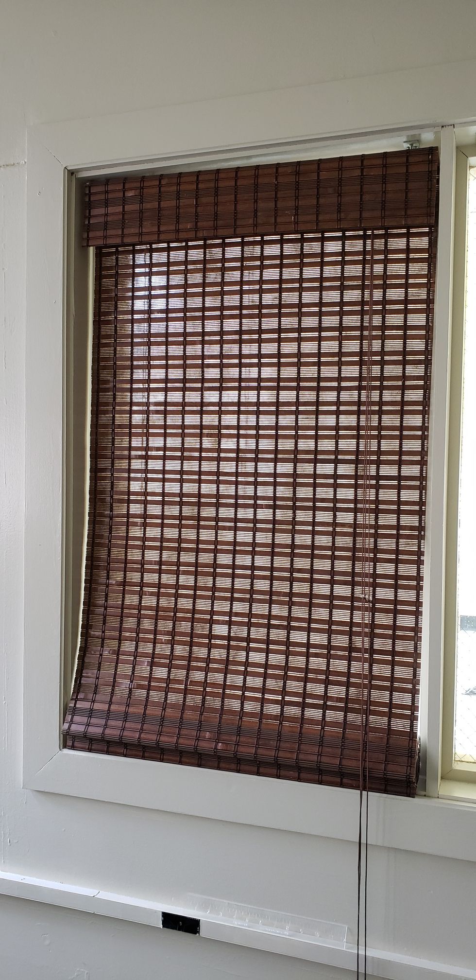 Bamboo blinds