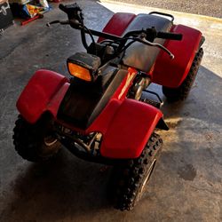 87 Yamaha Moto 4 Champ 100cc