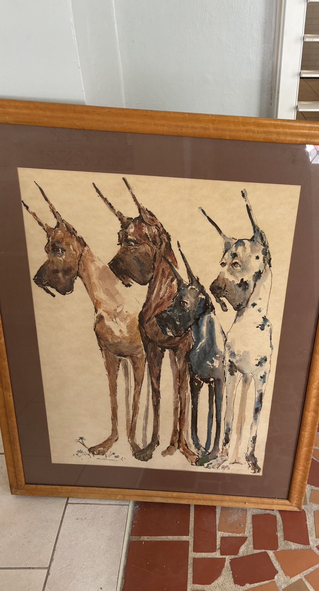 Beautiful Portrait With Three Dogs
