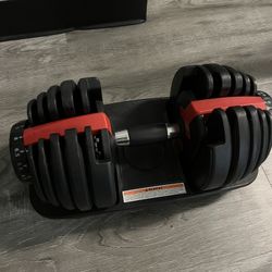 Adjustable dumbbell (1set)