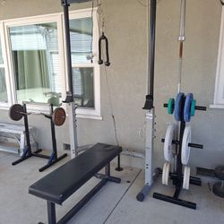 Full Set Of Workout Equipment Biceps Triceps Chest Ext...