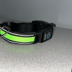 Dog Collar 