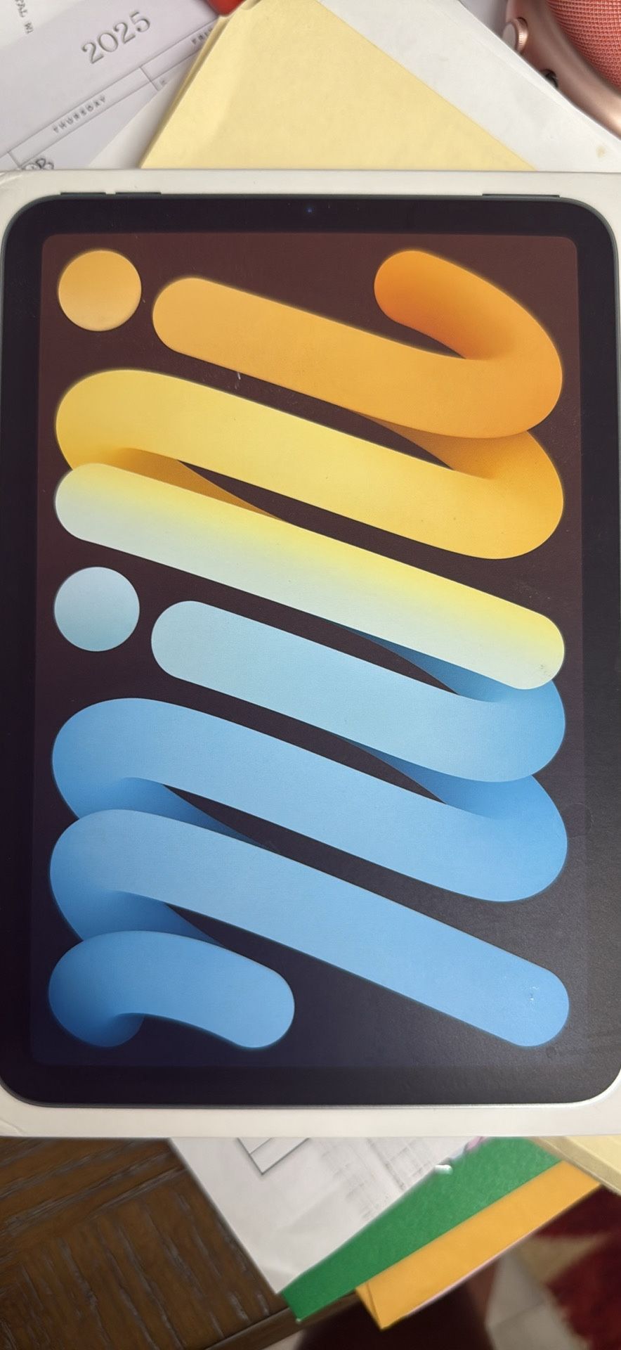 iPad Mini 256gb (blue)