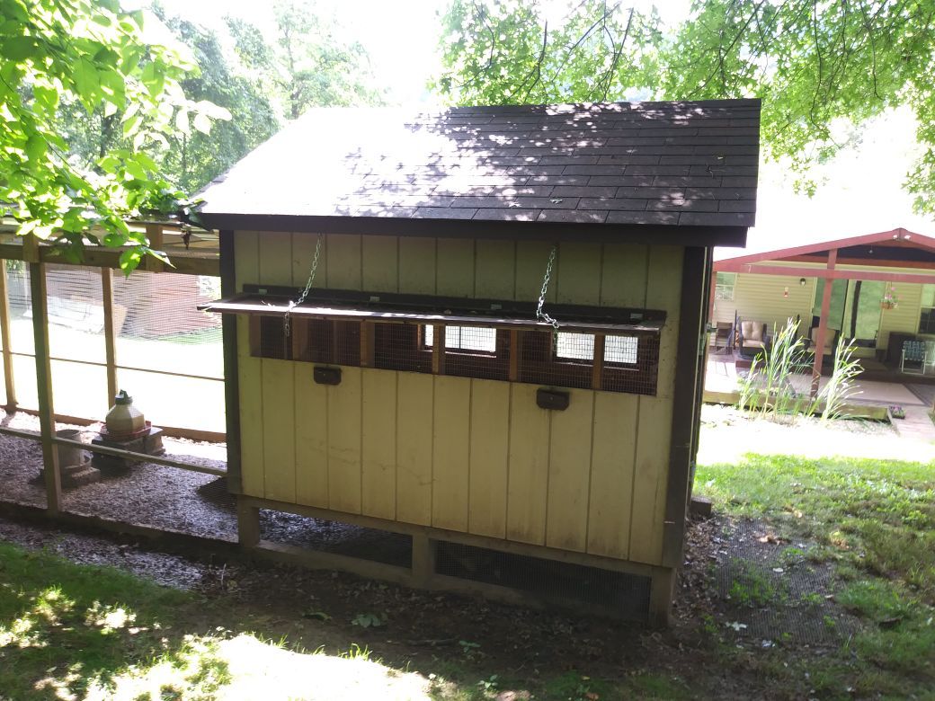 Amish built chicken coop