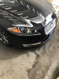 Jaguar Xx