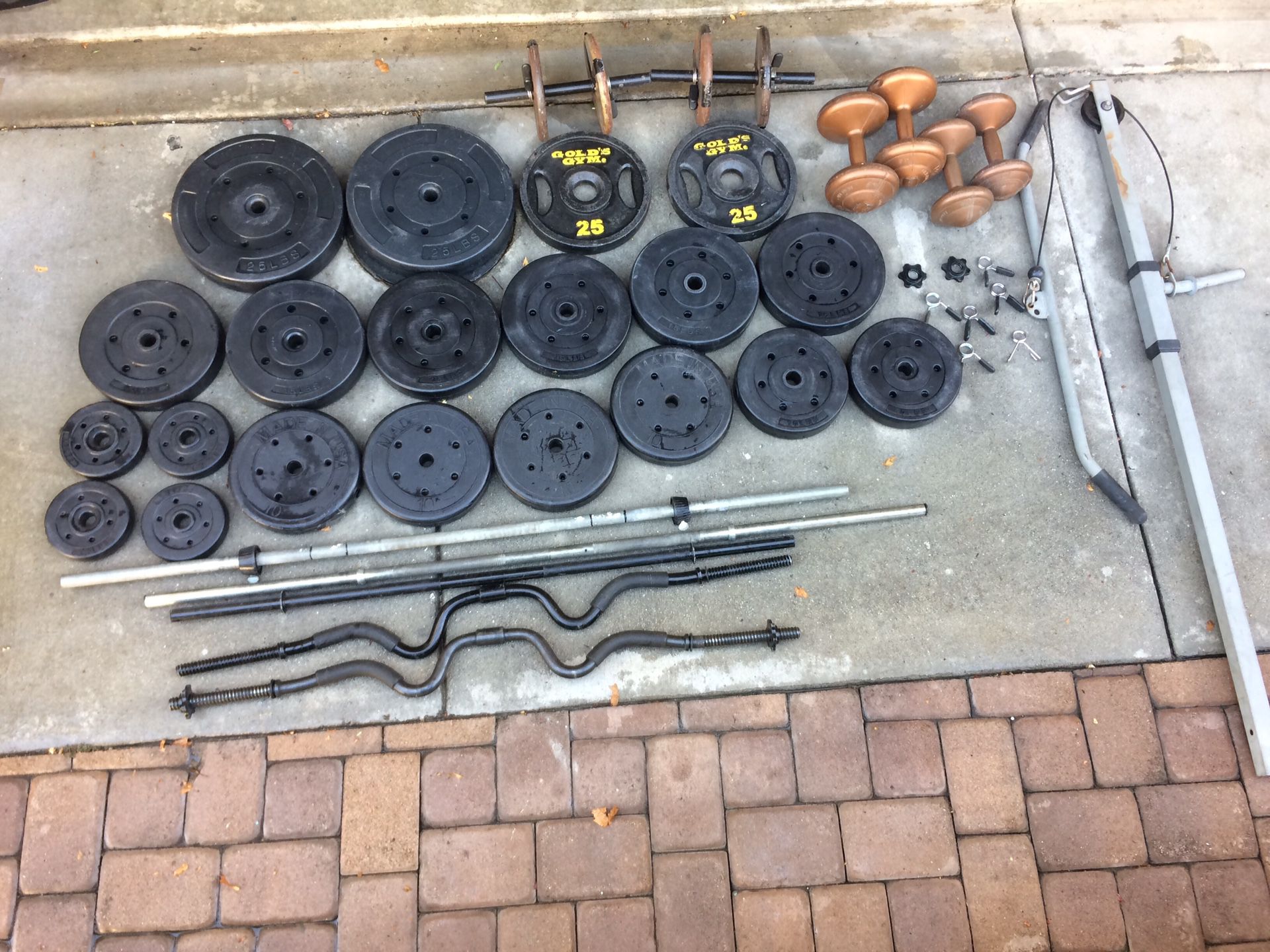 310 lbs of weight, Dumbbells, Barbells, and Pulley Pushdown Attachment