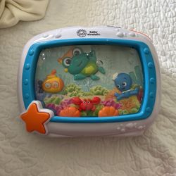 Baby Einstein Soother