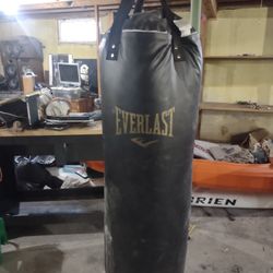 Everlast Heavy Bag