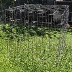 Rooster Cage