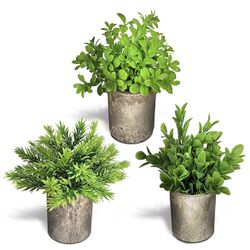 Set Of 3 Artificial Plants For Home. 