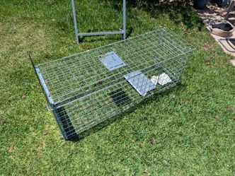 Coyote (large animal) trap