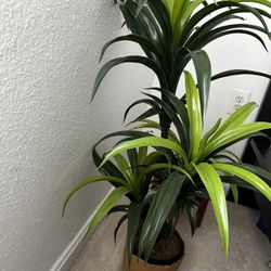 Artificial Plant