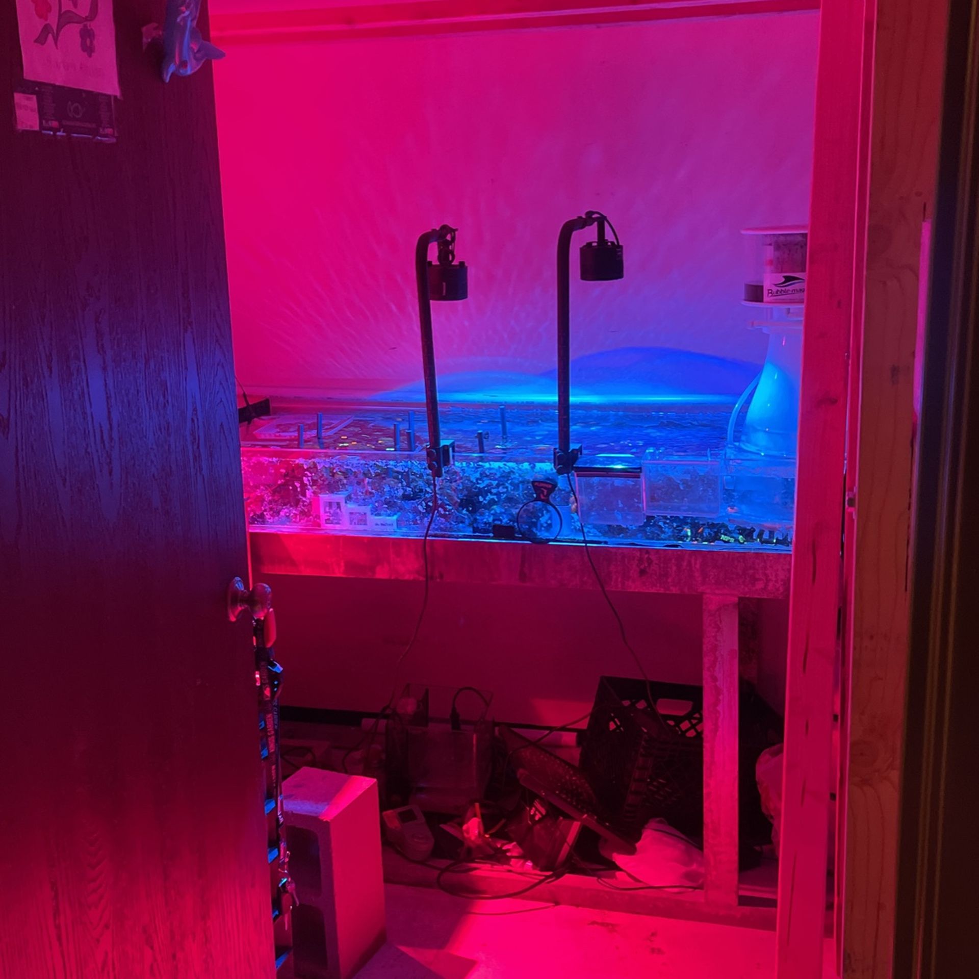 Aquarium store . Aladdin Balboa Market