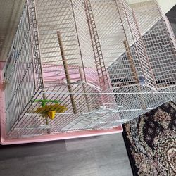 Bird Cage