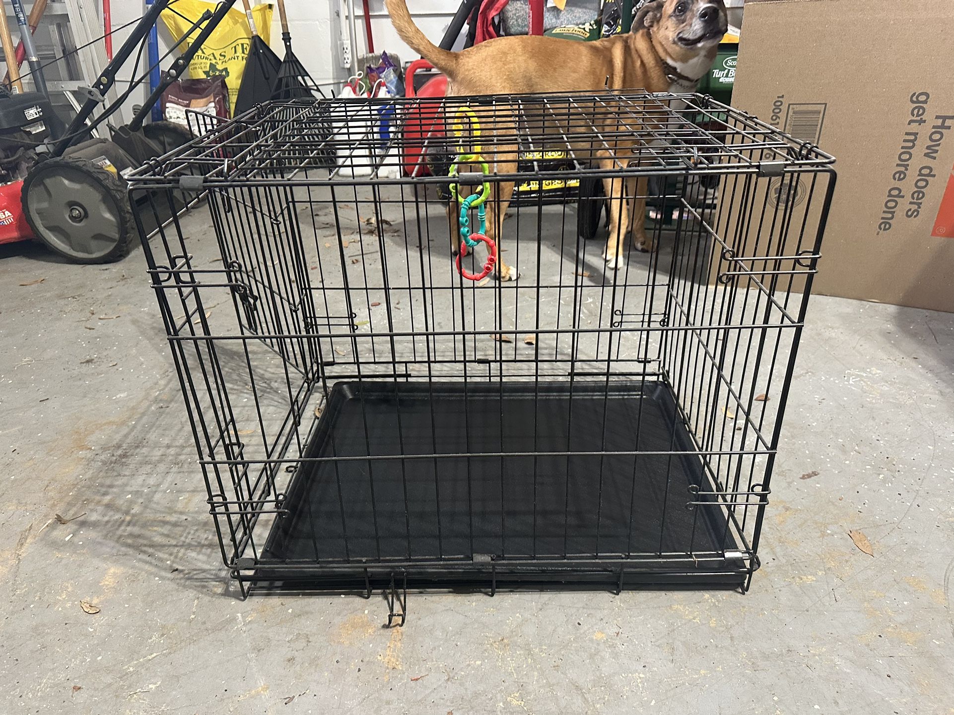 Small Dog Crate
