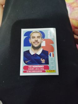 Two panini stickers