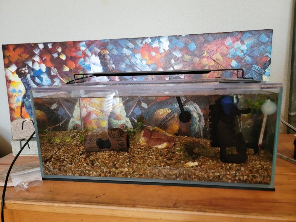 Everything Must Go FREE