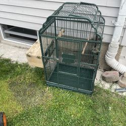 Bird Cage 