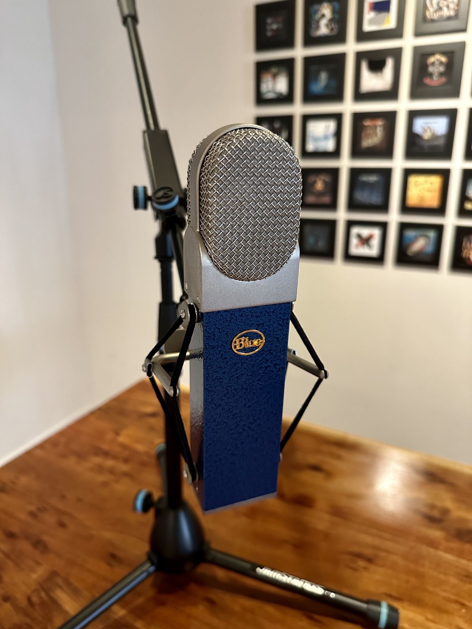 Blue Microphones Microphones Blueberry Studio Condenser