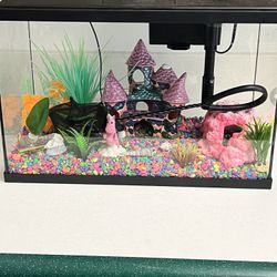 Betta Fish Tank 5 Gallon