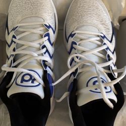 Mens Nike KD 17 Shoes 