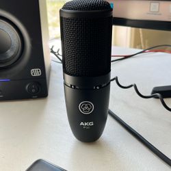 AKG P120