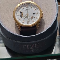 Citizen Eco Drive Discontinued Watch