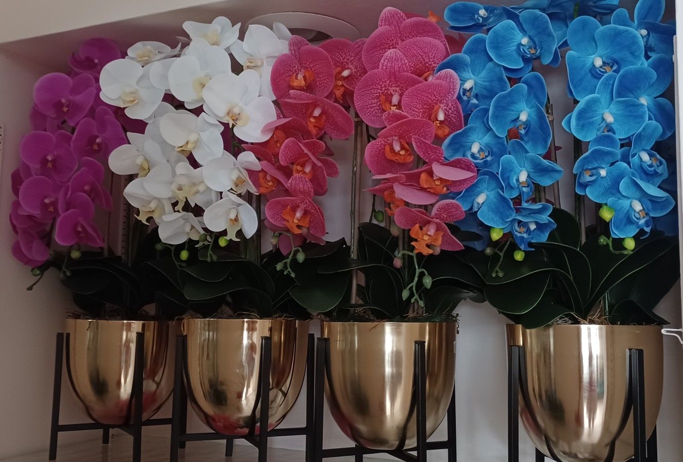 Orchid Flowers Arrangements  