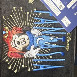 Disney Fantasia makeup bag