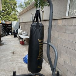 Punch Bag 