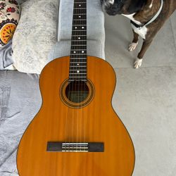 YAMAHA CG101A ACOUSTIC CLASSICAL GUITAR  