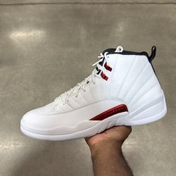 Brand new Air Jordan 12 Twist size 15
