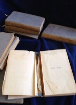 Antique Charles Dickens - 8 books (17 volumes)