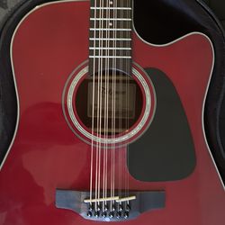 Takamine 12 string