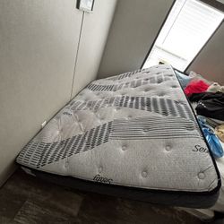 Queen Mattress By Sealy