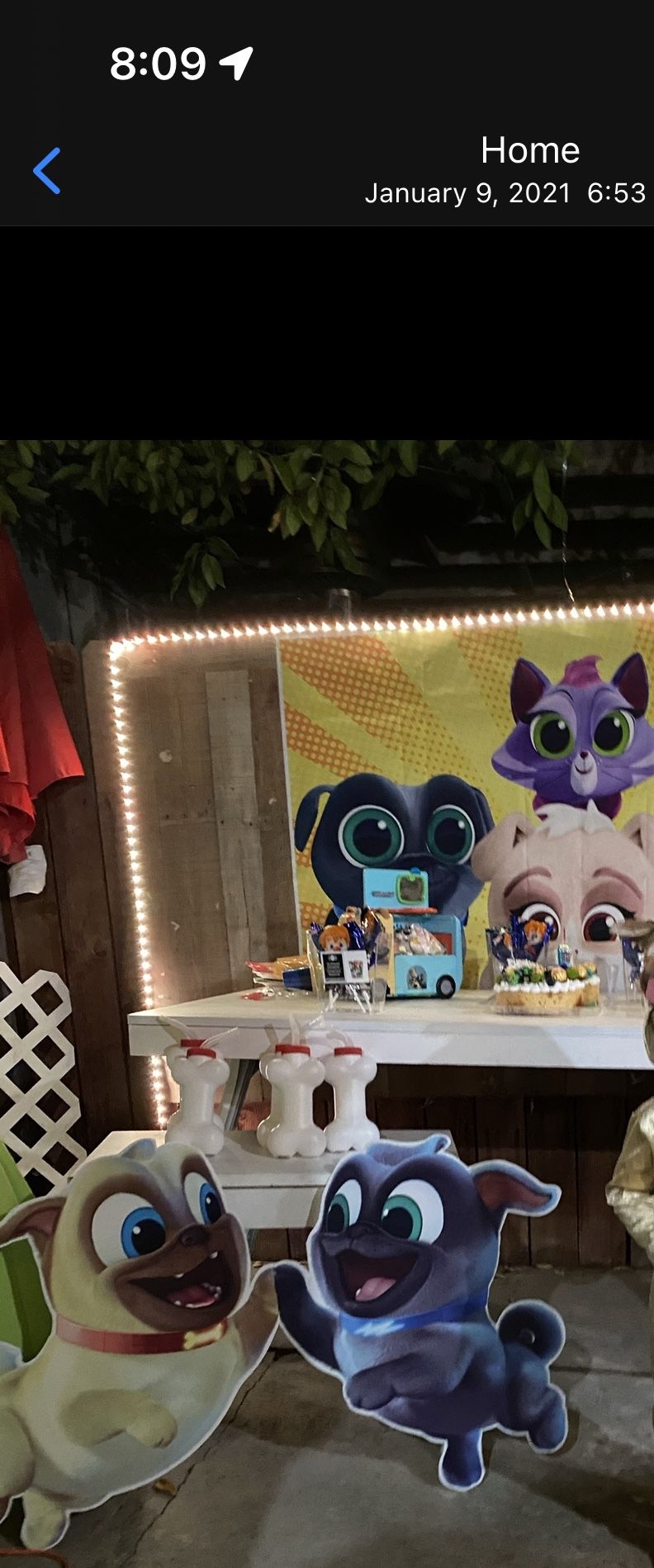 puppy pals dogs for decor