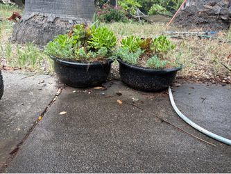 Black rustic style ceramic pots