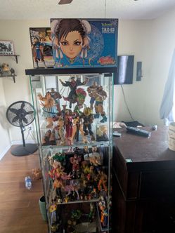 Street fighter collection